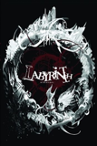 Visuel du Jeu Labyrinth