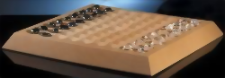 Visuel du Jeu Hasami Shogi